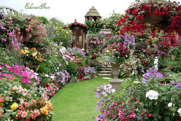 Самый красивый сад Edwina Fran