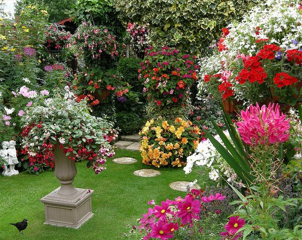 Самый красивый сад Edwina Fran