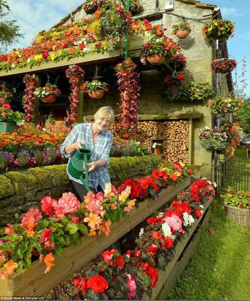 цветочный дом Анны и Робина Стрейндж