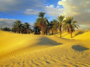 пустыня Сахара Тунис