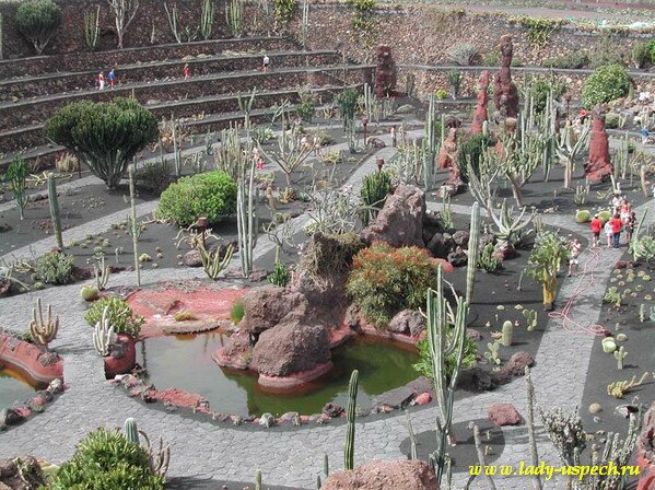 Сад кактусов Сесаре Манрике на Лансароте