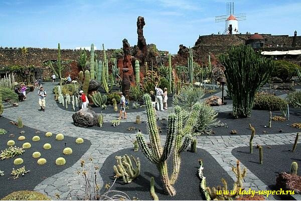 Сад кактусов Сесаре Манрике на Лансароте