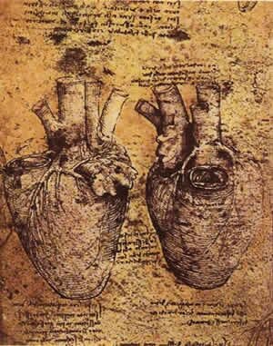 Леонардо да Винчи. Рисунок сердца человека.