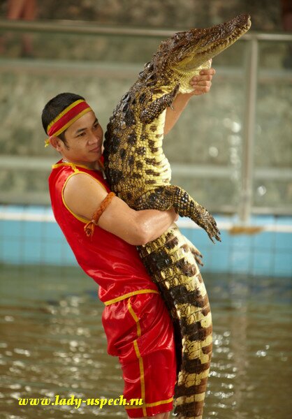 Отдых в Тайланде. Крокодиловая ферма