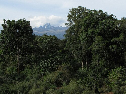 Национальный парк Гора Кения