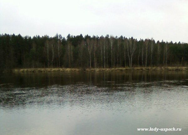 Весенняя природа Беларуси. Неман в апреле
