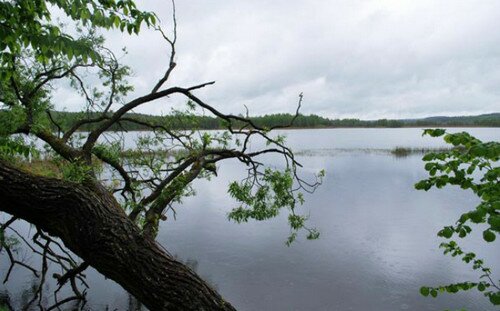 Озеро Бездонное, Слонимский район Беларусь