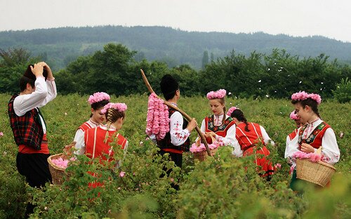 Долина Роз, Болгария. Фестиваль Роз